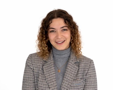 Mediator Image
